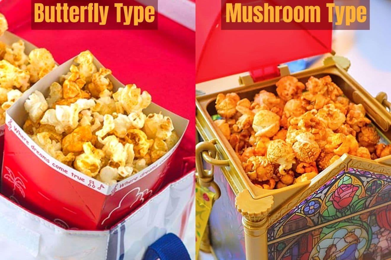 Comparison of butterfly type popcorn and mushroom type popcorn