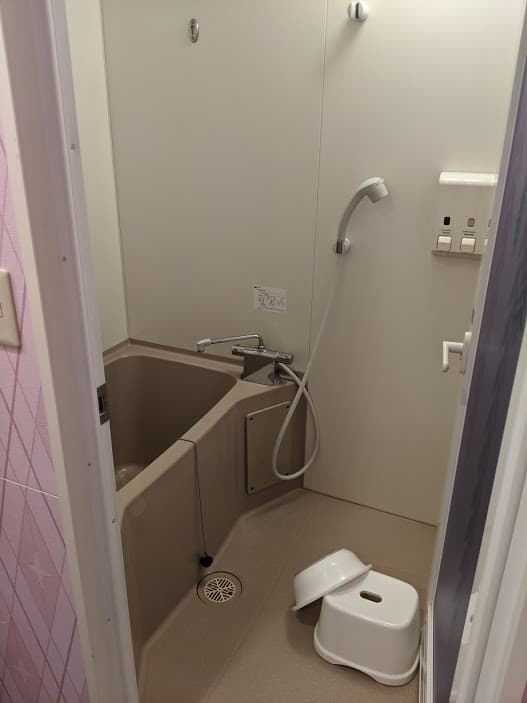 Tokyo Disney Cerebration Bath room, Wish