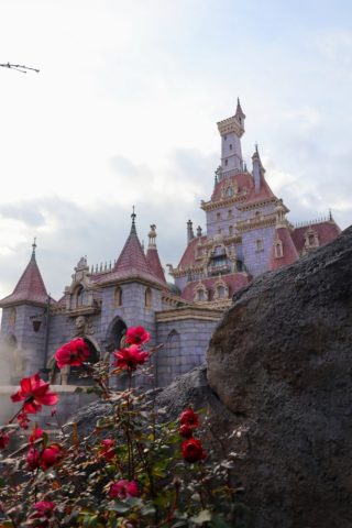 Enchanted Tale of Beauty and the Beast, Tokyo Disneyland, Castle