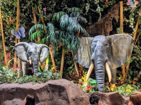 Elephants, Rainforest Cafe Tokyo, Ikspiari, Tokyo Disney Resort