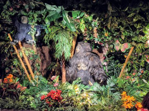 Gorillas, Rainforest Cafe Tokyo, Ikspiari, Tokyo Disney Resort