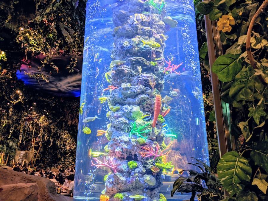 Aquariums, Rainforest cafe tokyo, Ikspiari, Tokyo disney resort