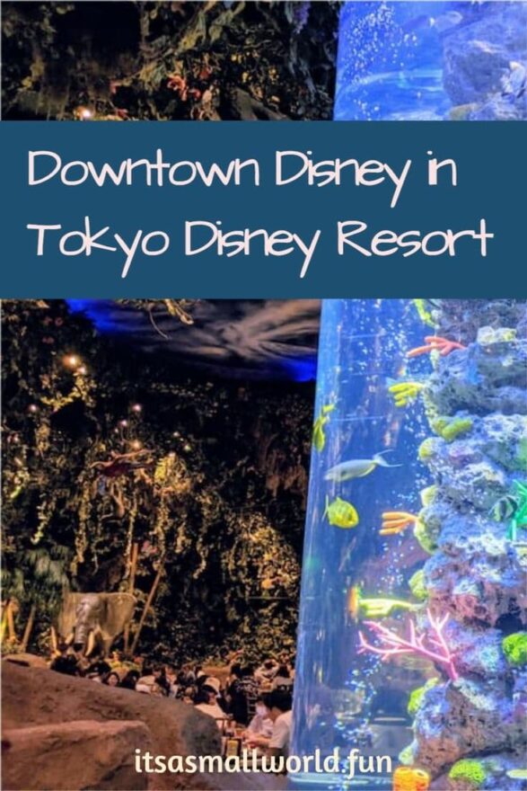 Downtown Disney Tokyo article board