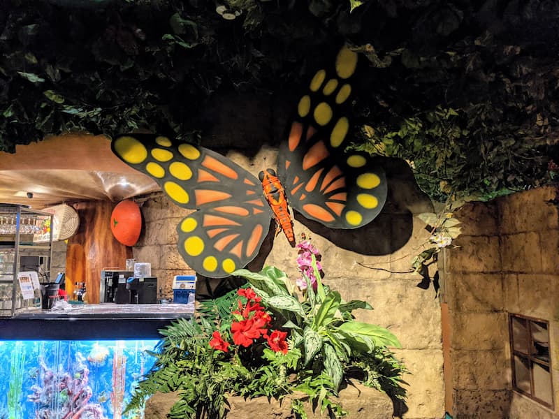 Giant butterfly, Rainforest Cafe Tokyo, Ikspiari, Tokyo Disney Resort