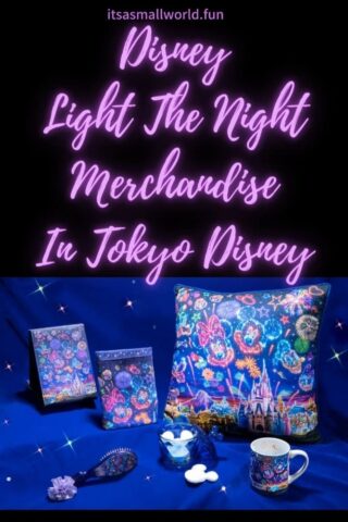Disney Light the Night Merchandise Article Board