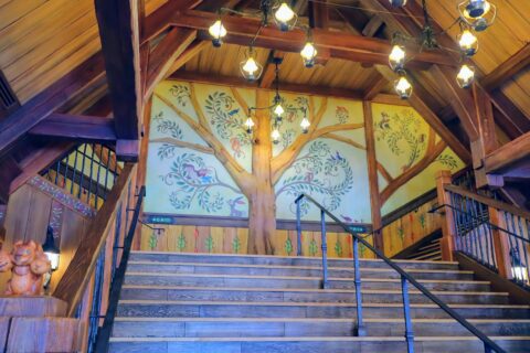 Stairs of the Forest Theater in New Fantasyland, Tokyo Disneyland