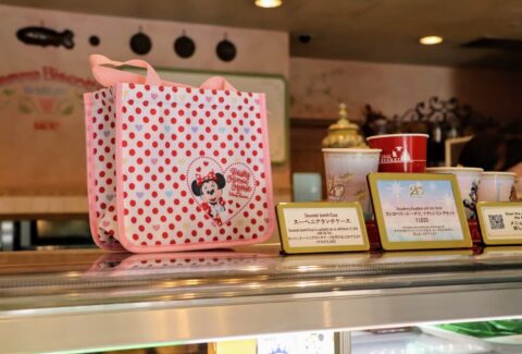Totally Minnie Mouse Souvenir Lunch Case, Tokyo DisneySea, Tokyo Disneyland