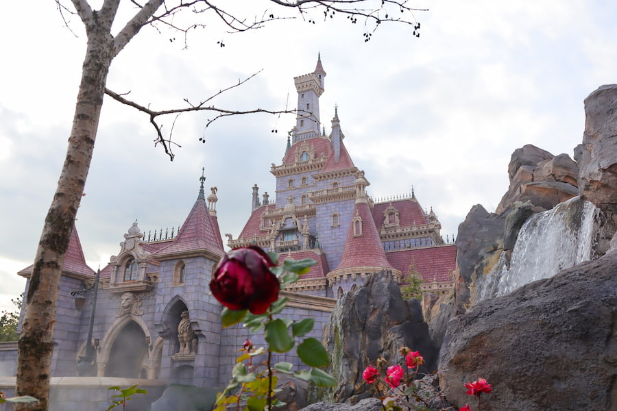 Enchanted Tale of Beauty and the Beast, New Fantasyland, Tokyo Disneyland, Tokyo Disney Resort