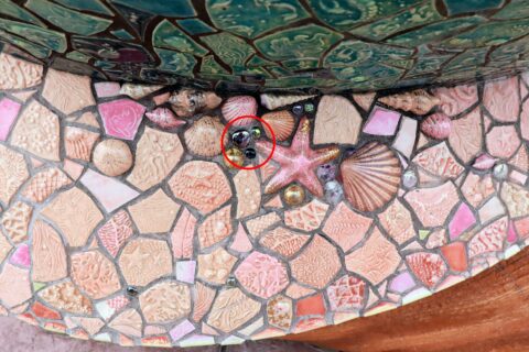 Hidden mickey answer for mermaid lagoon bench