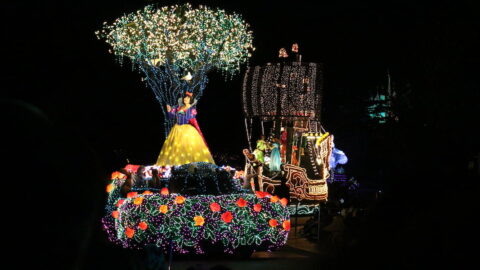 Tokyo Disneyland, Tokyo Disney Resort, Electrical Parade, Nighttime Entertainment