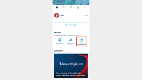 Tokyo Disneyland, Tokyo DisneySea, Disney Premier Access, Lightning Lane, Official Apps
