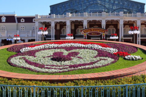 Mickey flower bed, Christmas, Tokyo Disneyland